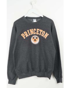 VINTAGE PRINCETON UNIVERSITY SWEATER (M)